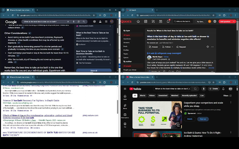 Multi-Perspective Search-Browser Extension Image